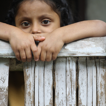 Help Bible League International end the world’s Bible famine this Christmas.